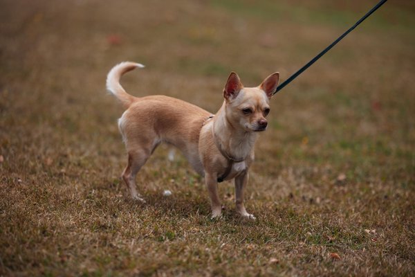 How are technological advancements shaping the UK job market?